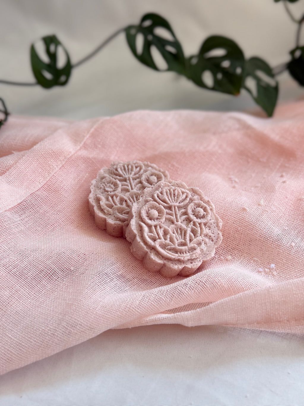 Cinnamon Bath Bomb