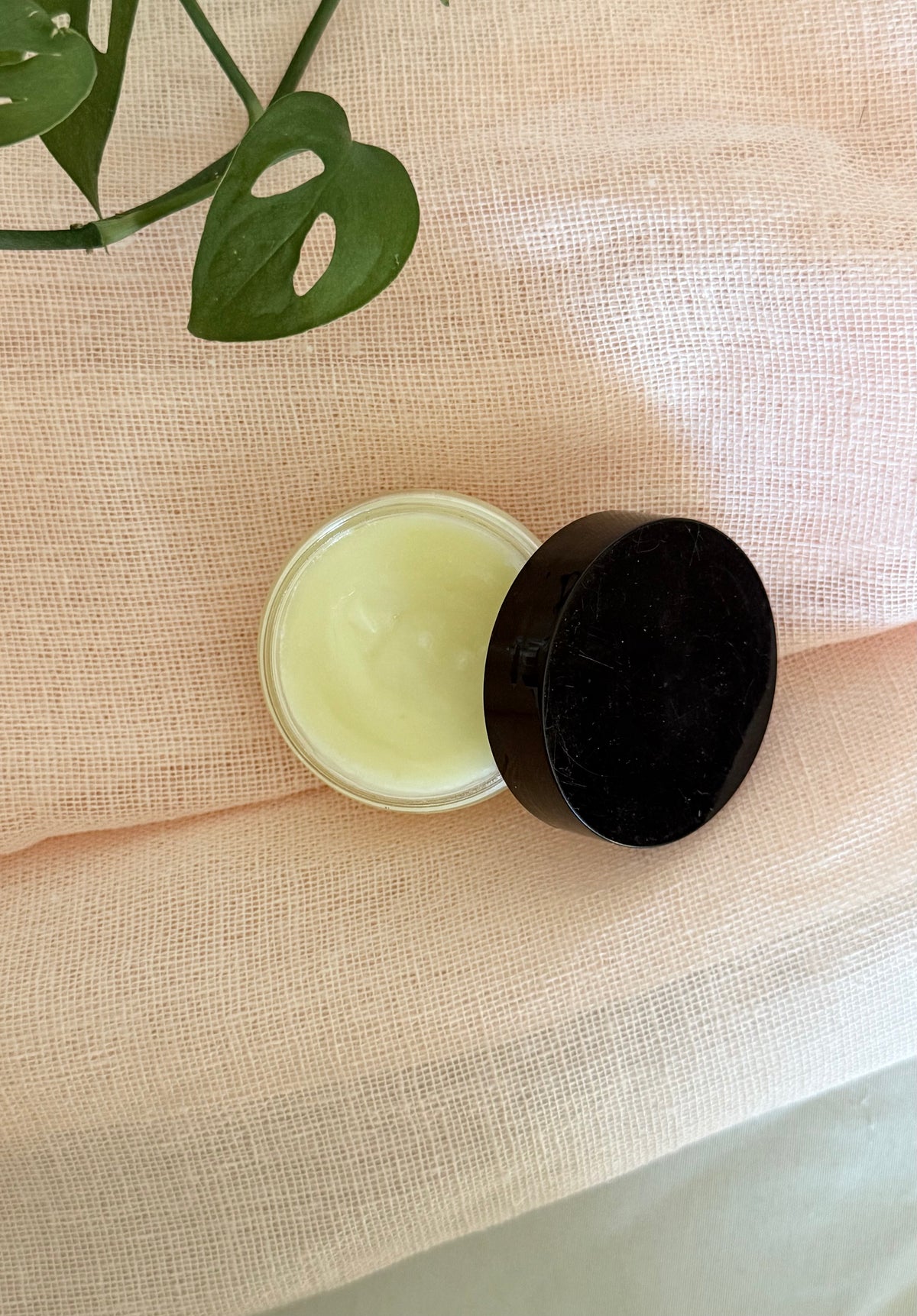 Pure Lip - Lip Balm