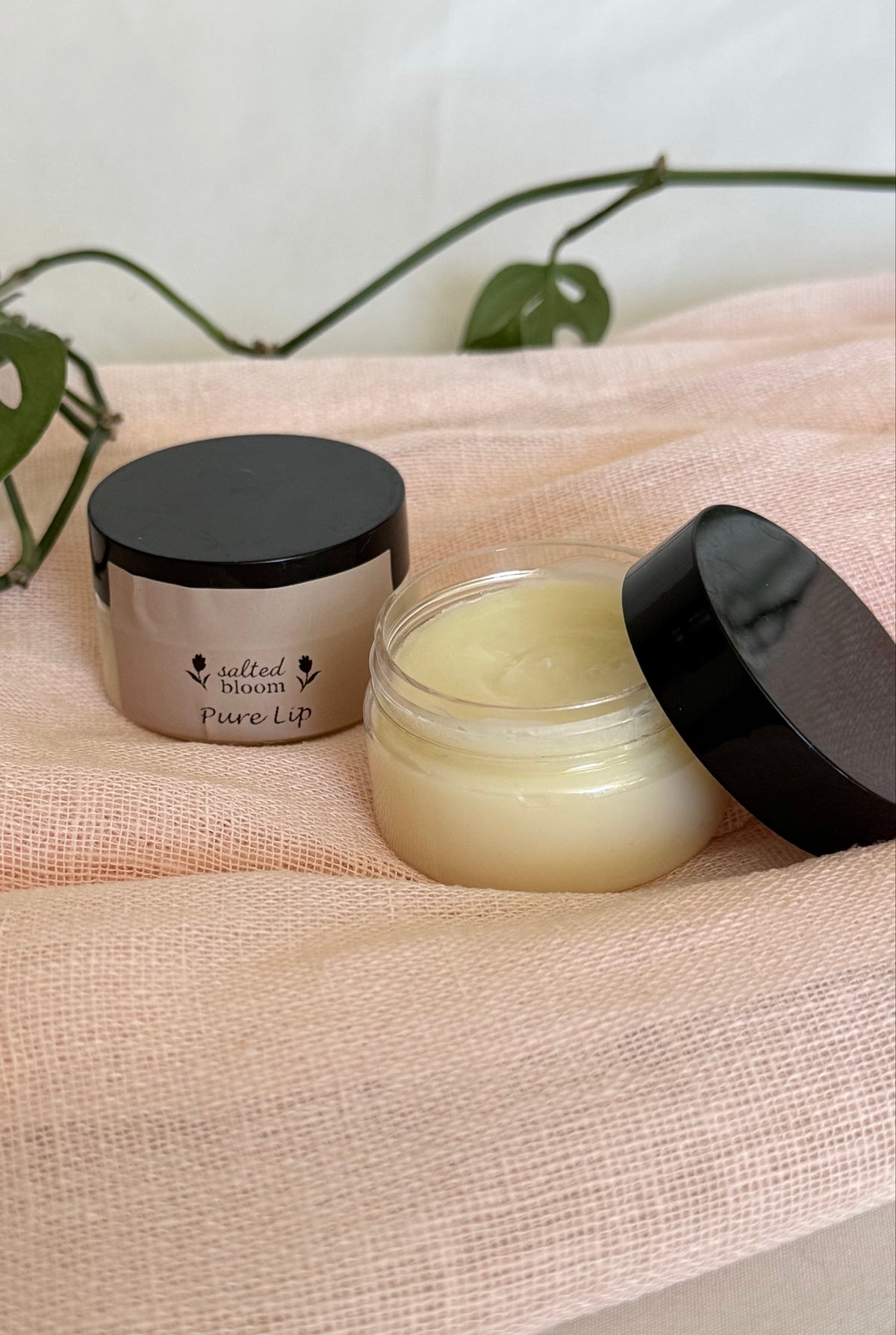 Pure Lip - Lip Balm