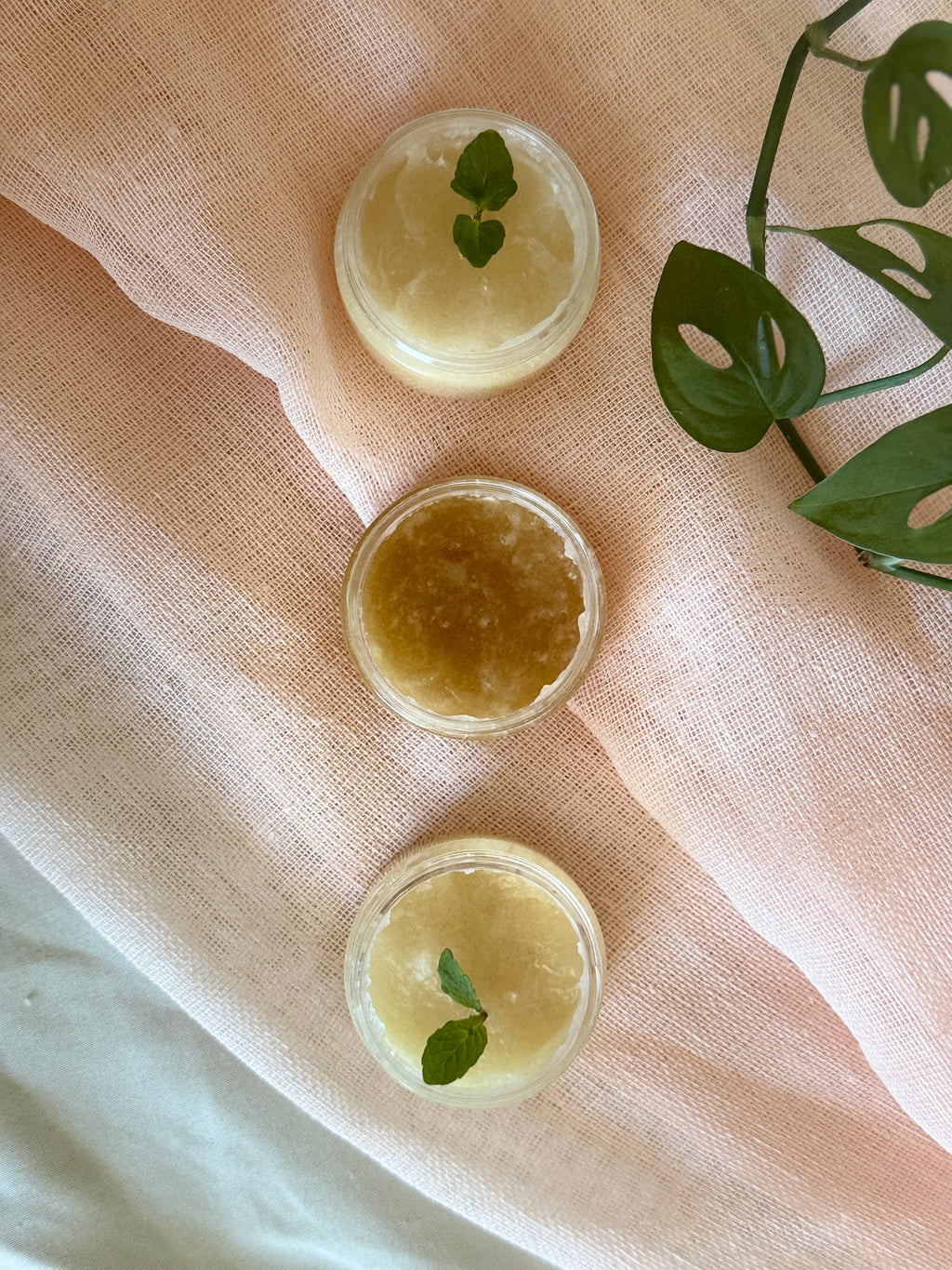 Vanilla Kiss Lip Scrub
