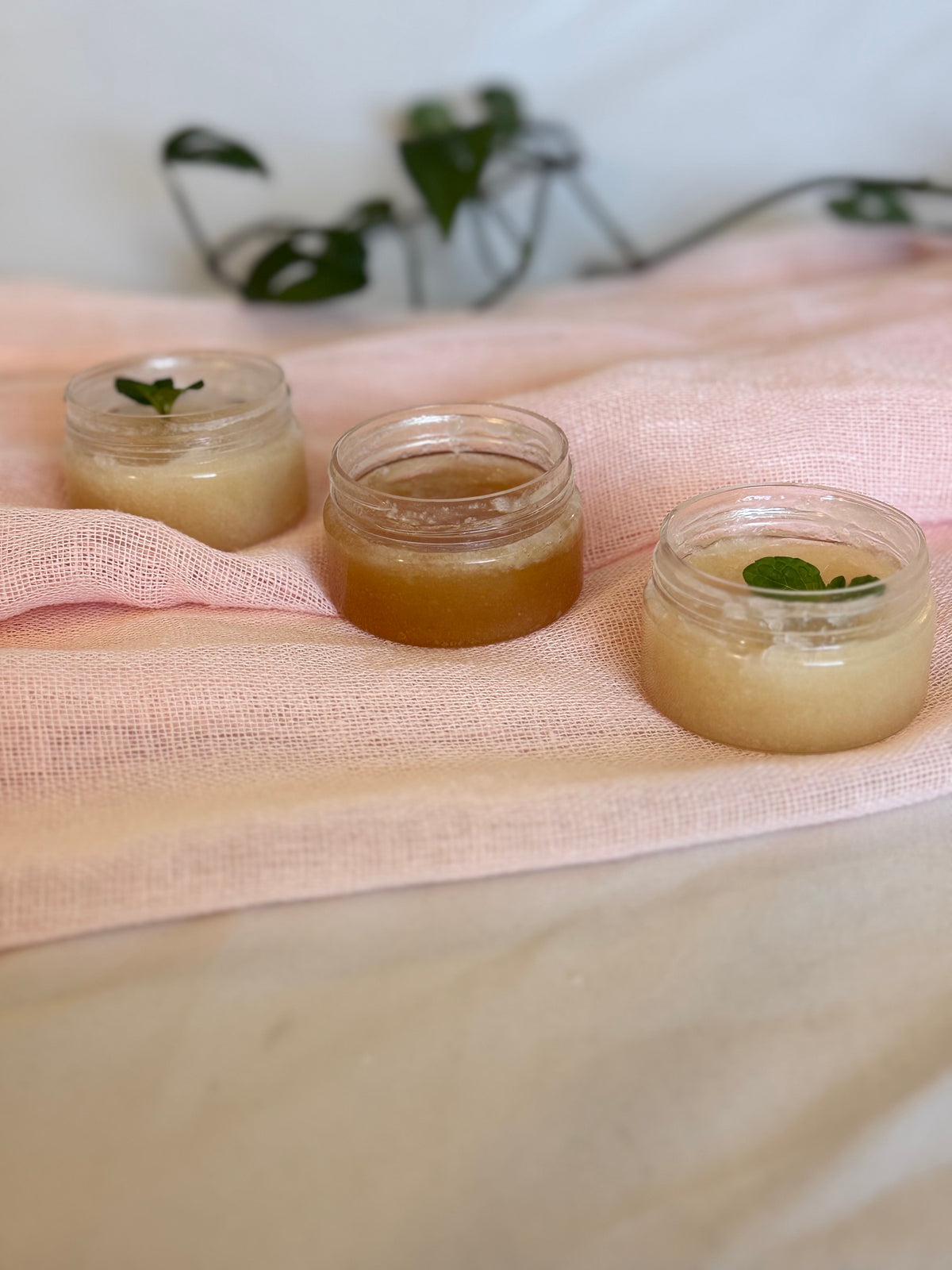 Honeymint Kiss Lip Scrub